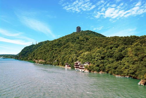 交旅融合篇 安徽 和美鄉村 賞花踏青 舒心游