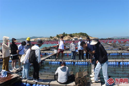 在工廠車間 田間地頭做好調查研究