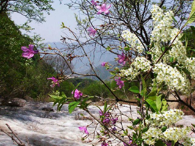 野三坡白草畔(圖集)