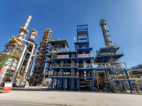 中阿經貿投資 京津冀環渤海 交流會在北京舉行