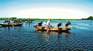 尋覓雄安新區周邊那些備受歡迎的特色美景