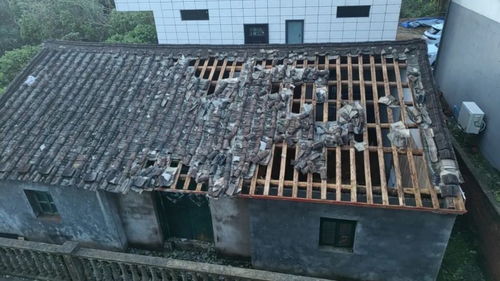 這仨已轉型的調查記者,一個賣酒,一個賣獼猴桃,還有一個忙救災