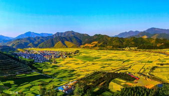 浙江數字鄉村建設又邁進一步 這些地方率先試點示范數字鄉村和數字農業工廠