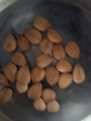 承德杏仁怎么樣_承德杏仁多少錢_承德杏仁