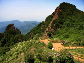 野三坡2日1晚跟團游 百里峽 盤壁玻璃棧道 十渡龍湖灣 品特色虹鱒魚 彩虹谷 游覽七彩小鎮 拒馬樂園點評