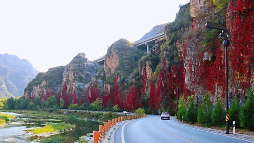 重陽節游野三坡 60周歲以上老人免費游園
