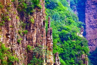 桃源勝境野三坡 一縣一品公益助農(nóng),河北淶水特產(chǎn)麻核桃