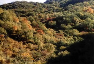 白草畔成為野三坡又一精品景區