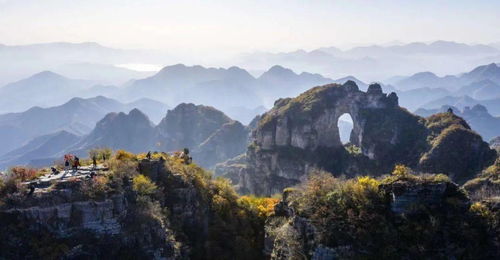 新區周邊賞紅葉的好地方來了,周末約嗎