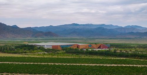 長城天賦酒莊獲得國內首家零碳工廠及產品碳足跡 雙認證