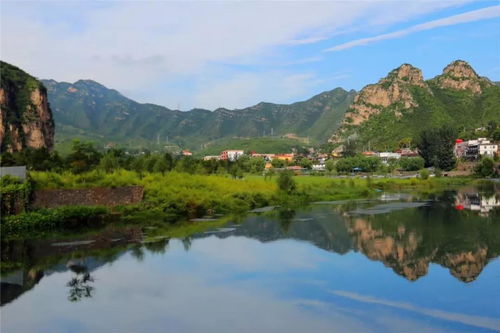白天鵝飛抵,一起去野三坡春游吧鳳凰網河北 鳳凰網