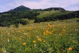 野三坡百里峽 白草畔 東湖港2日 天津出發 途牛