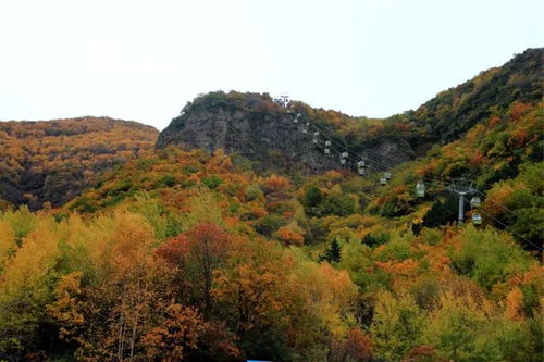 相約野三坡 全國(guó)攝影藝術(shù)大展征稿啟事