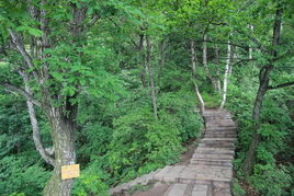 官方發(fā)布2013野三坡百草畔風(fēng)景精選