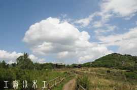 工廠小木工 2011年6月野三坡百草畔風(fēng)光