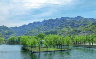 野三坡的天然芬芳,是我人間的 春藥