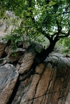 野三坡住宿旅游次生森林谷_野三坡住宿旅游次生森林谷價格_野三坡住宿旅游次生森林谷廠家旅游服務