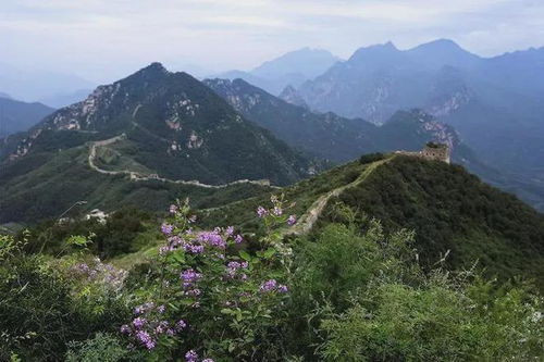 期待已久！4月1日野三坡龍門天關(guān)景區(qū)盛裝開業(yè)