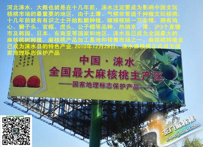 麻核桃樹苗價(jià)格與移栽成活率詳解——以野三坡為例