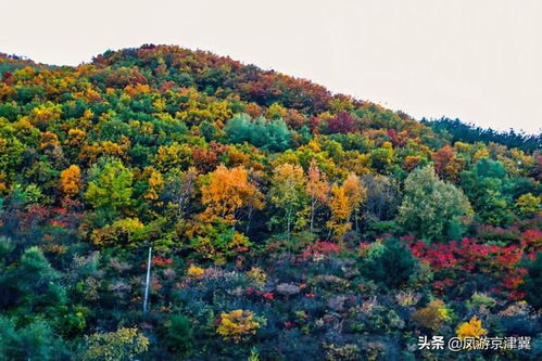 京津冀全域旅游精品線路發(fā)布，保定野三坡等景點(diǎn)入選
